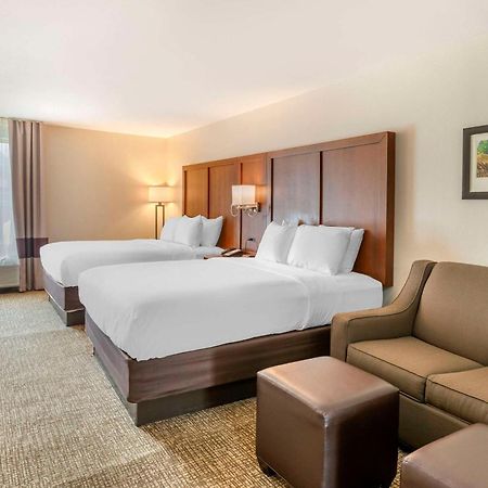 Comfort Inn Petersburg Near Fort Gregg-Adams Eksteriør billede
