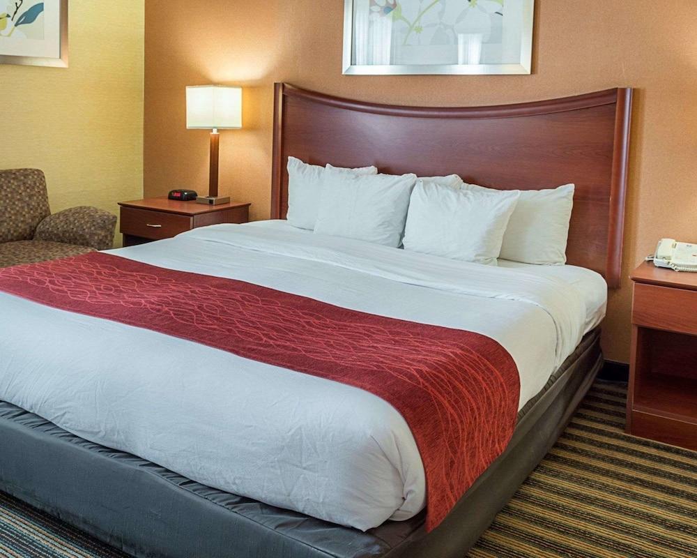 Comfort Inn Petersburg Near Fort Gregg-Adams Eksteriør billede