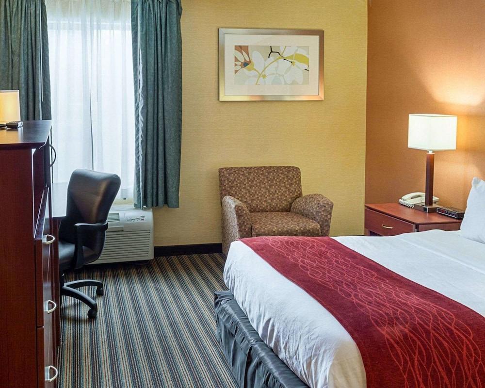 Comfort Inn Petersburg Near Fort Gregg-Adams Eksteriør billede