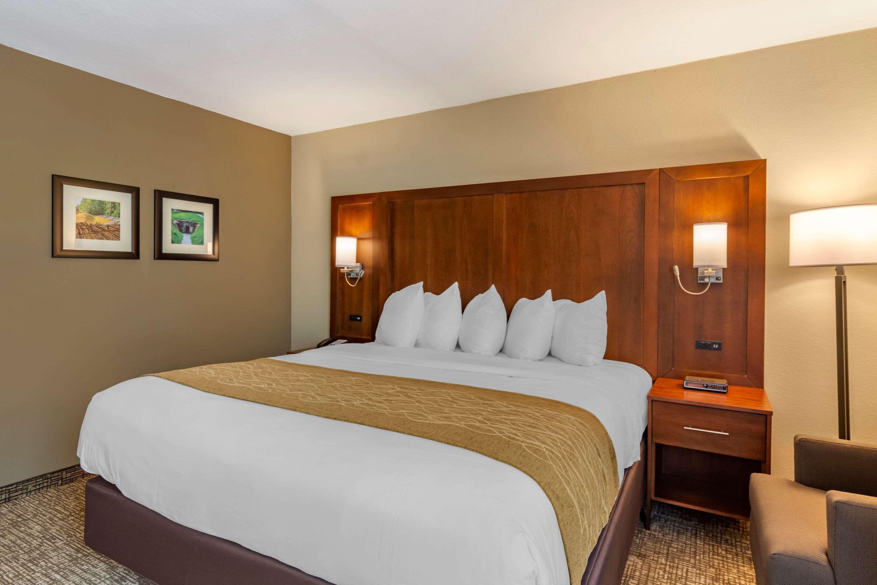 Comfort Inn Petersburg Near Fort Gregg-Adams Eksteriør billede
