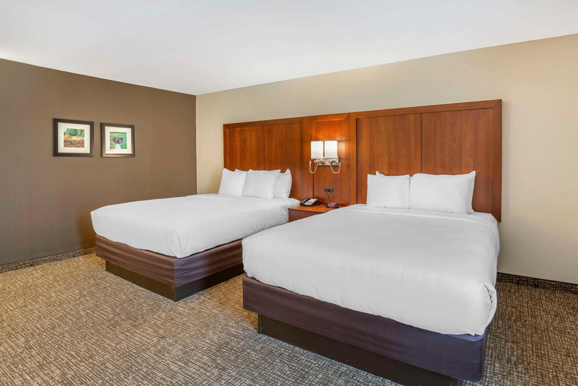 Comfort Inn Petersburg Near Fort Gregg-Adams Eksteriør billede