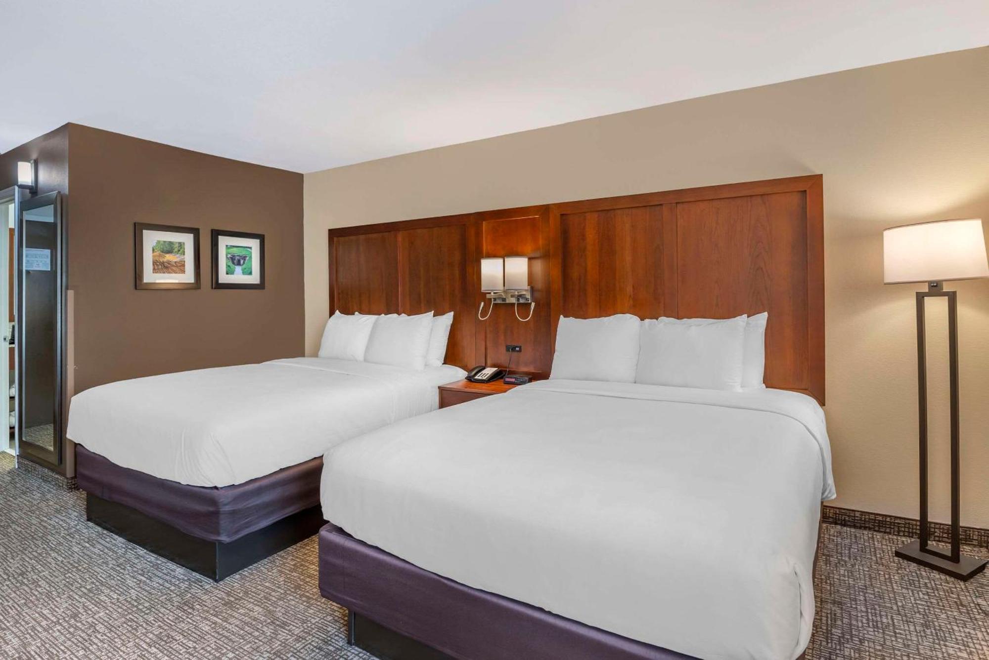 Comfort Inn Petersburg Near Fort Gregg-Adams Eksteriør billede