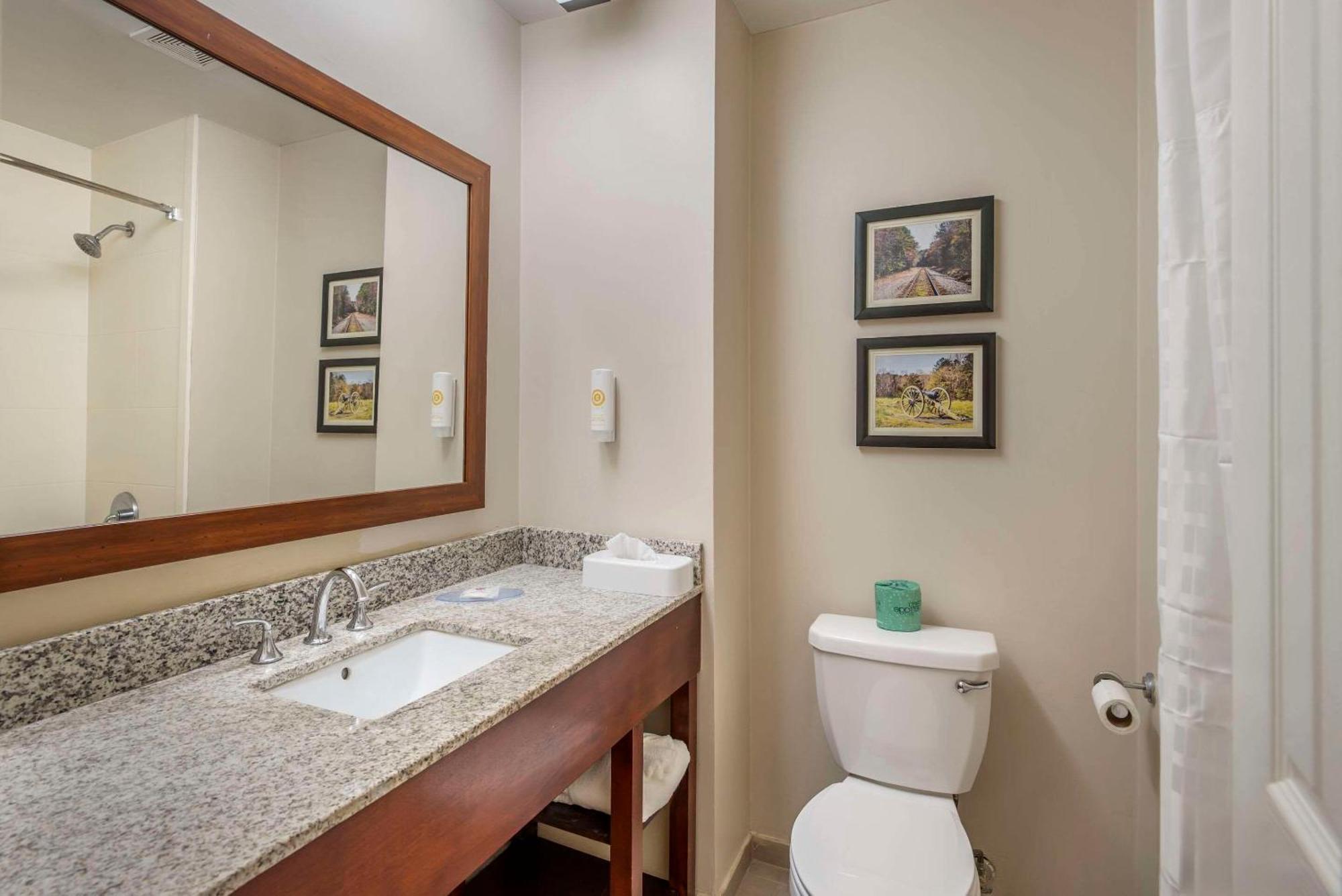 Comfort Inn Petersburg Near Fort Gregg-Adams Eksteriør billede