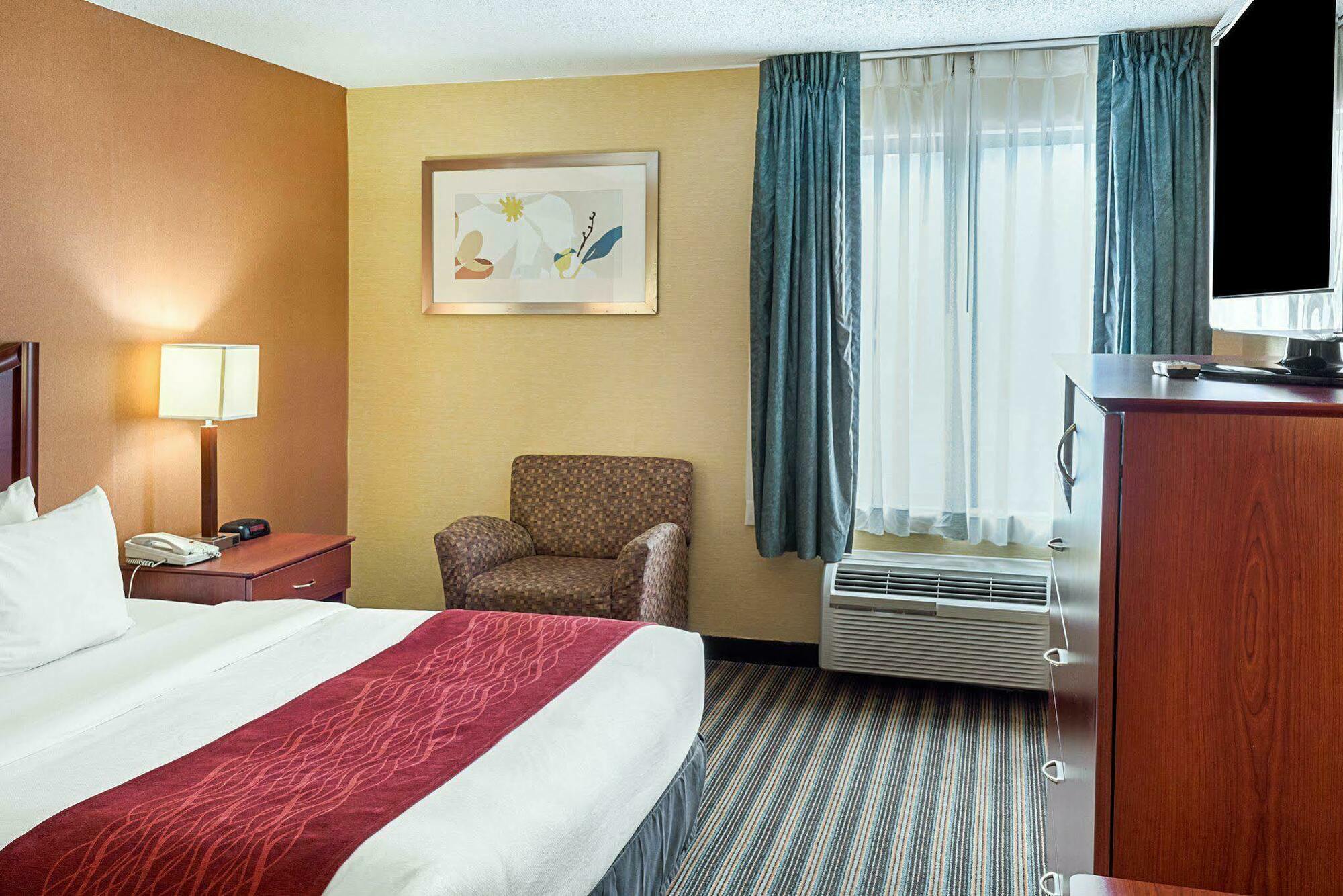 Comfort Inn Petersburg Near Fort Gregg-Adams Eksteriør billede