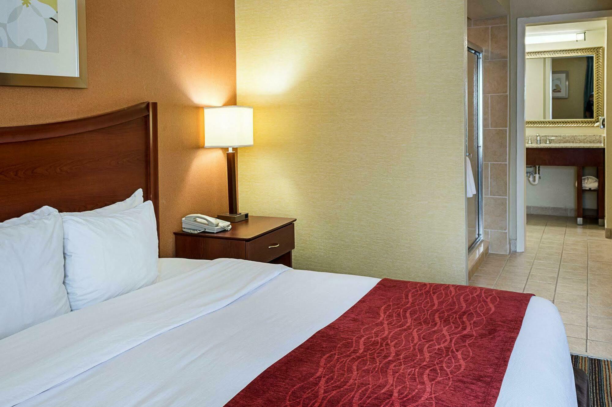 Comfort Inn Petersburg Near Fort Gregg-Adams Eksteriør billede